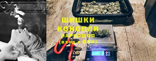 СК Белокуриха