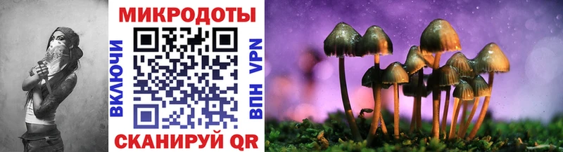 Псилоцибиновые грибы GOLDEN TEACHER  где найти   Шумерля 